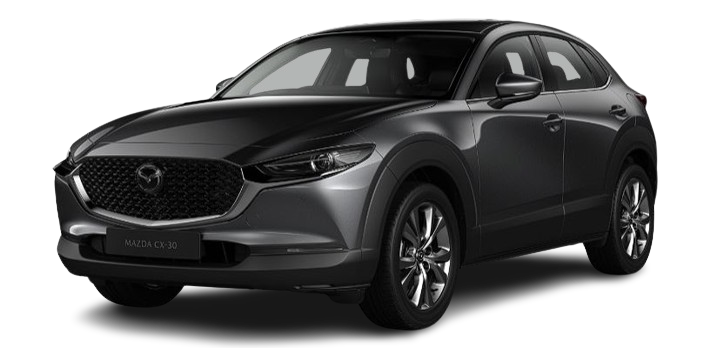 cx 30 machine grey metallic