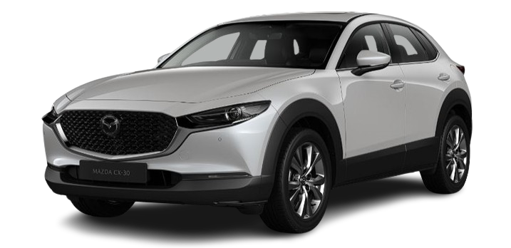 cx 30 snowflake white pearl mica